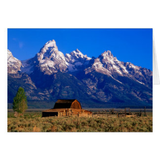 USA, Wyoming, Grand Teton National Park, Morning
