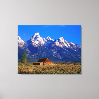 USA, Wyoming, Grand Teton National Park, Morning Canvas Print