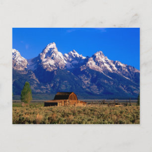 USA, Wyoming, Grand Teton National Park, Morning Postcard