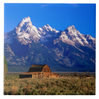 USA, Wyoming, Grand Teton National Park, Morning Tile