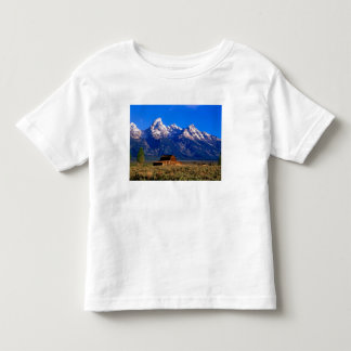 USA, Wyoming, Grand Teton National Park, Morning Toddler T-shirt