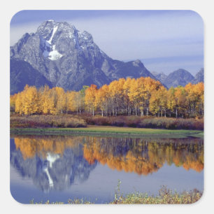 USA, Wyoming, Grand Teton National Park. Mt. Square Sticker