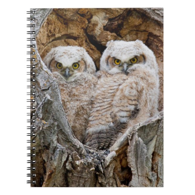 USA, Wyoming, Grand Teton National Park Notebook (Front)