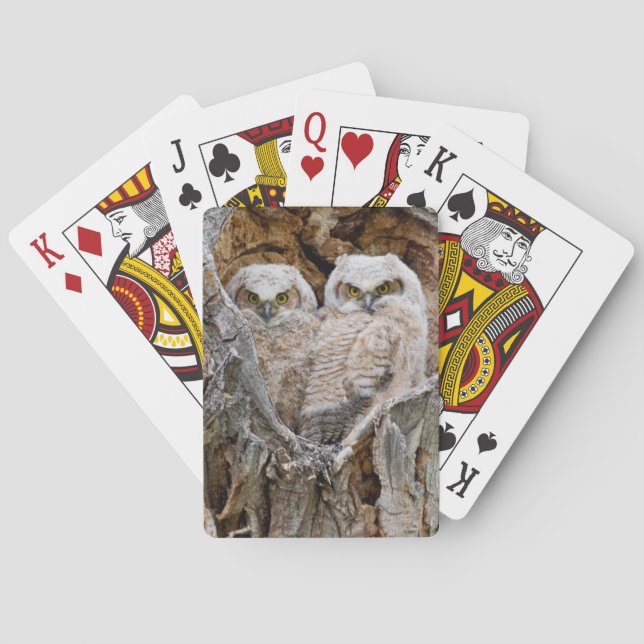USA, Wyoming, Grand Teton National Park Playing Cards (Back)
