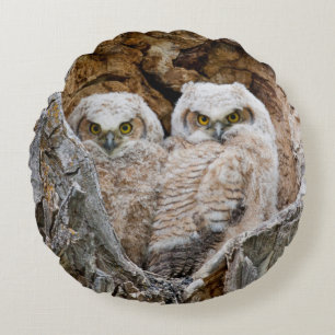 USA, Wyoming, Grand Teton National Park Round Pillow