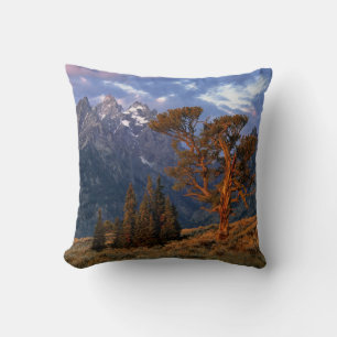 USA, Wyoming, Grand Teton NP. A lone cedar Throw Pillow