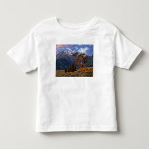 USA, Wyoming, Grand Teton NP. A lone cedar Toddler T-shirt