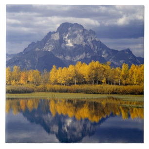 USA, Wyoming, Grand Teton NP. Against the Tile