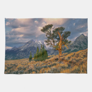 USA, Wyoming, Grand Teton NP. Sunrise greets a Kitchen Towel