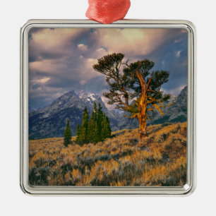 USA, Wyoming, Grand Teton NP. Sunrise greets a Metal Ornament