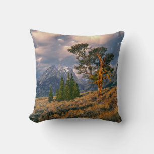 USA, Wyoming, Grand Teton NP. Sunrise greets a Throw Pillow