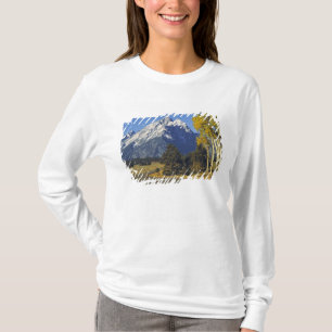 USA, Wyoming, Grand Teton NP. Teton Parkway T-Shirt