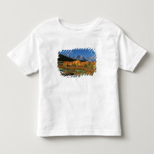 USA, Wyoming, Grand Tetons National Park in Toddler T-shirt