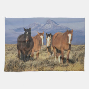 USA, Wyoming, near Cody Group of horses Kitchen Towel