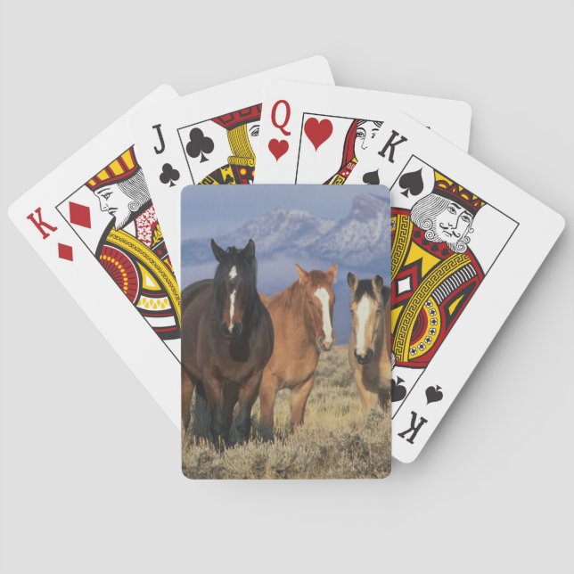 USA, Wyoming, near Cody Group of horses Playing Cards (Back)
