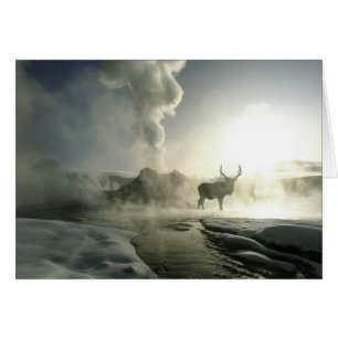 USA, Wyoming, Parc National de Yellowstone. Soleil