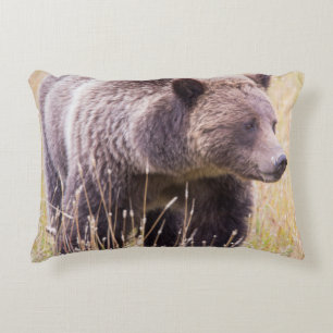 USA, Wyoming, Yellowstone National Park, Grizzly 3 Decorative Pillow