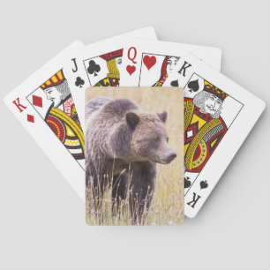 USA, Wyoming, Yellowstone National Park, Grizzly 3 Playing Cards