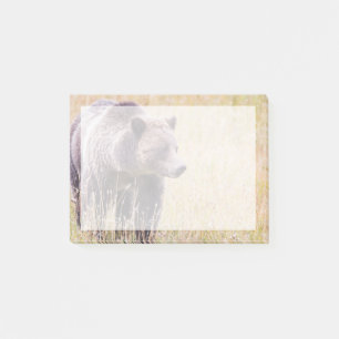 USA, Wyoming, Yellowstone National Park, Grizzly 3 Post-it Notes