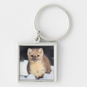 USA, Wyoming, Yellowstone National Park Keychain