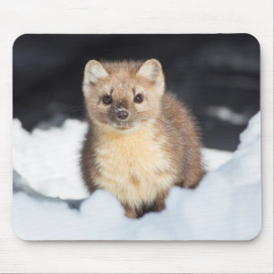USA, Wyoming, Yellowstone National Park Mouse Pad