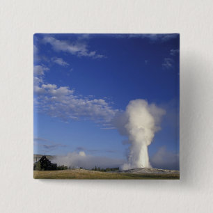 USA, Wyoming. Yellowstone National Park. Old 2 Inch Square Button