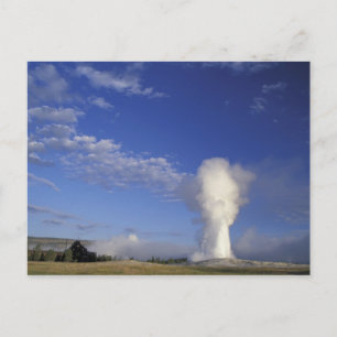 USA, Wyoming. Yellowstone National Park. Old Postcard