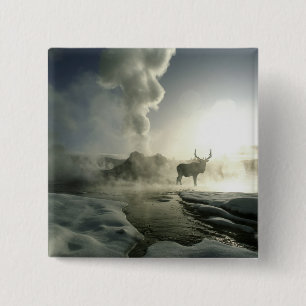 USA, Wyoming, Yellowstone National Park. Sunrise 2 Inch Square Button