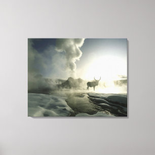 USA, Wyoming, Yellowstone National Park. Sunrise Canvas Print