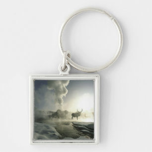 USA, Wyoming, Yellowstone National Park. Sunrise Keychain