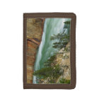 USA, Wyoming, Yellowstone National Park