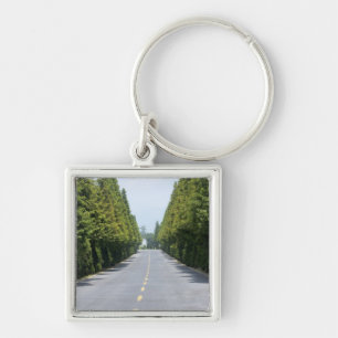 USA, Yellowstone National Park, Treelined road Keychain