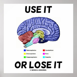 Use It Or Lose It (Anatomical Brain Advice) Poster