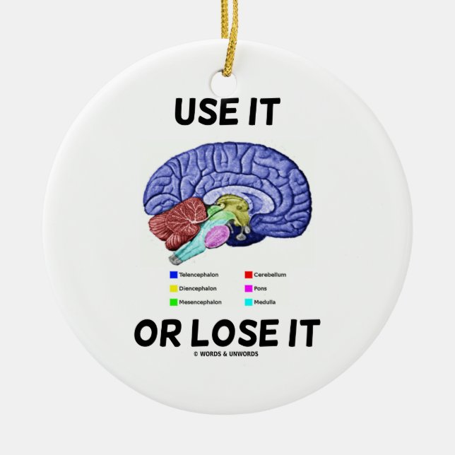 Use It Or Lose It (Brain Anatomy Humour) Ceramic Ornament (Front)