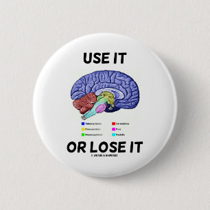 Use It Or Lose It (Brain Anatomy Humour Saying) 2 Inch Round Button