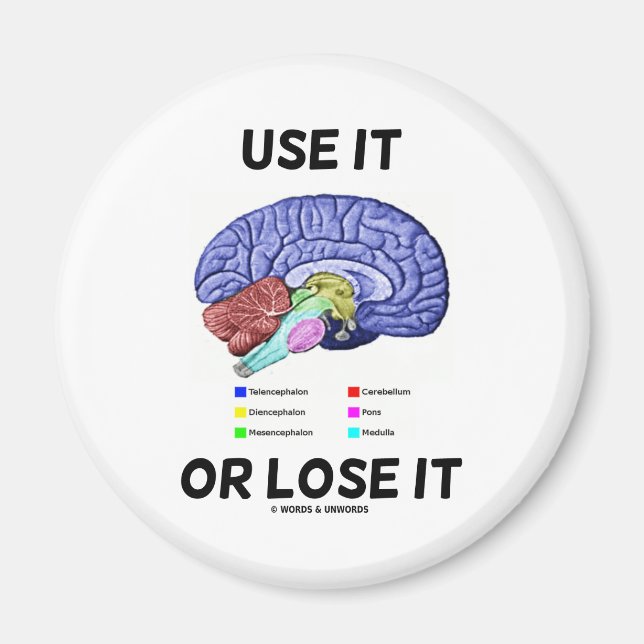 Use It Or Lose It (Brain Anatomy Humour Saying) Magnet (Front)