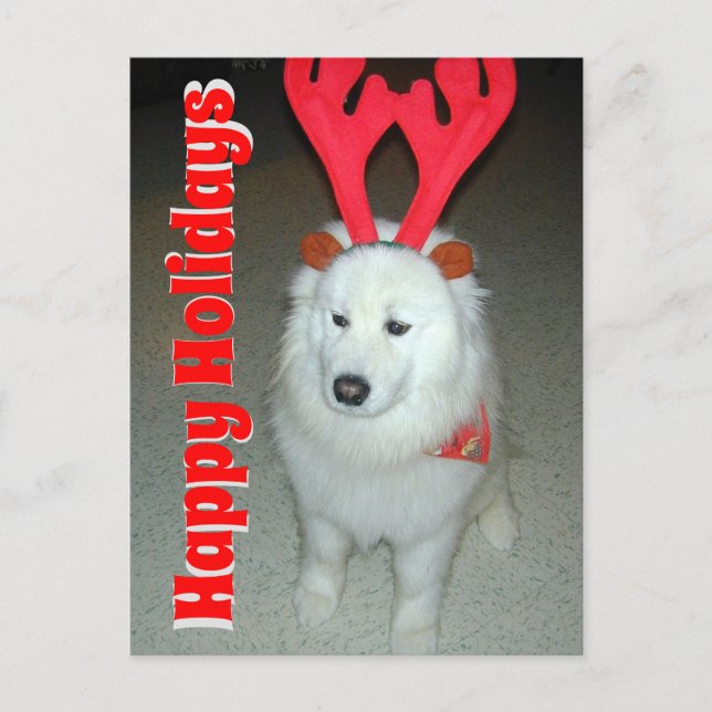 Use Your Pet Photo Christmas Postcard (Front)