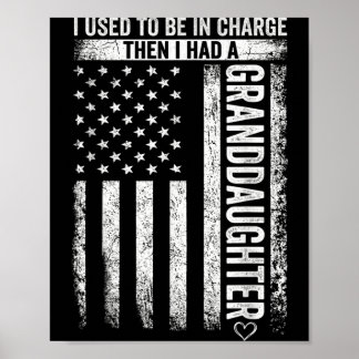 Used To Be In Charge Had A Granddaughter Vintage Poster