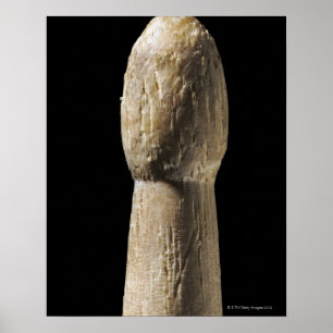 Used Wooden Drumstick Poster