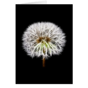 Usine blanche de fleur de pissenlit