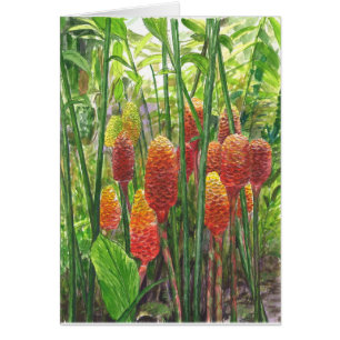 Usines hawaïennes de gingembre