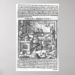 Using Sulphur Poster