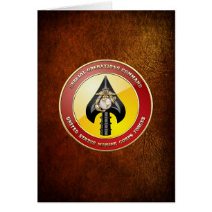 USMC Special Operations Command (MARSOC) [3D]