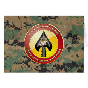 USMC Special Operations Command (MARSOC) [3D]