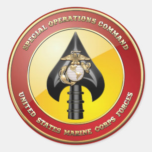 USMC Special Operations Command (MARSOC) [3D] Classic Round Sticker