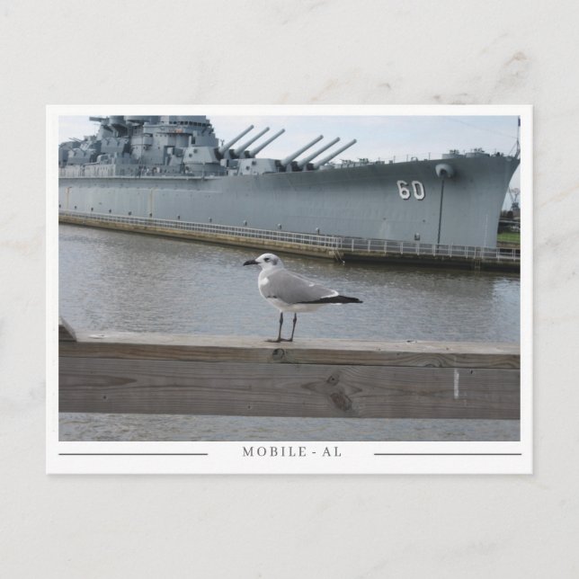 USS Alabama & Seagull – Mobile, AL Souvenir Postcard (Front)