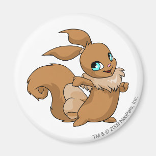 Usul Brown Magnet