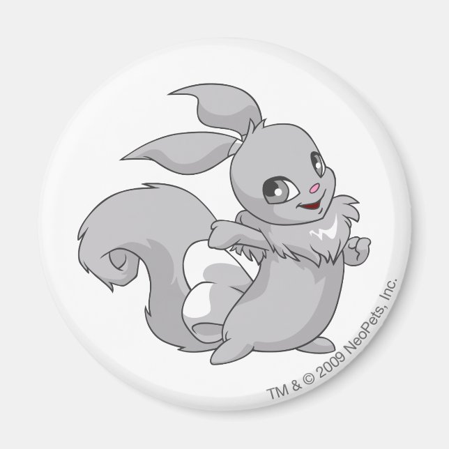 Usul Silver Magnet (Front)