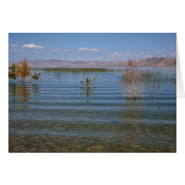 UT, Bear Lake (Front Horizontal)