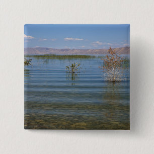 UT, Bear Lake 2 Inch Square Button